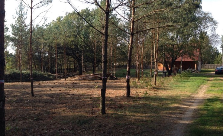działka na sprzedaż - Rzewnie, Brzóze Małe